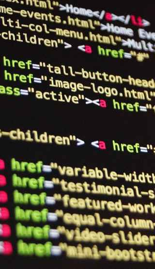 Websites designed by experts